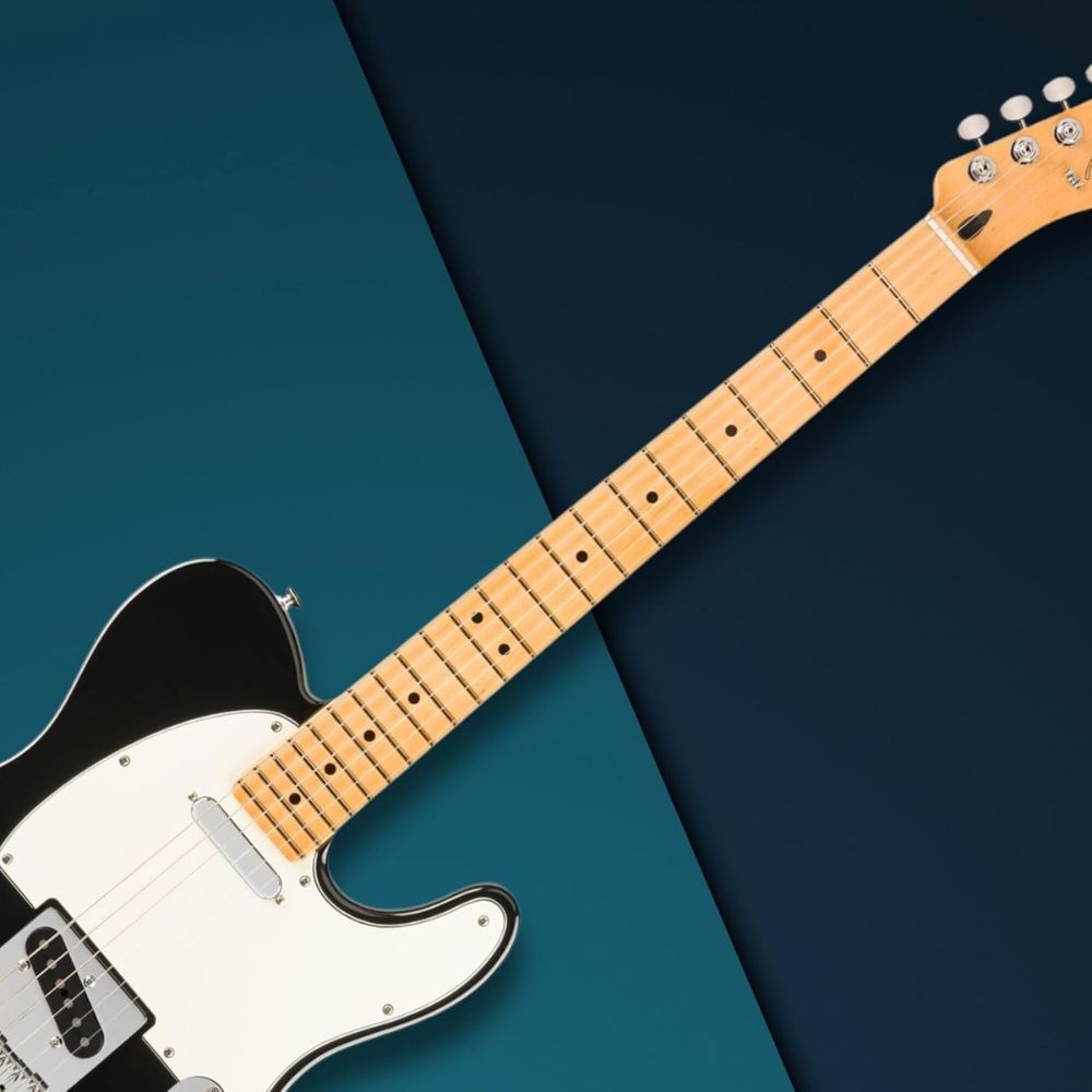 ノーブランド　テレキャスター Fender Limited Edition Player Telecaster with Ebony FB In